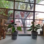 Quilla Apartment Cusco